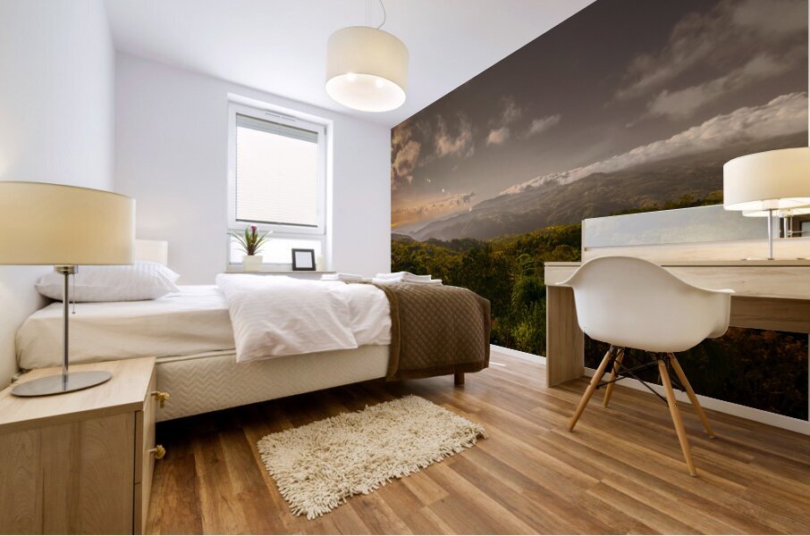 Central America Rain Forest Mountains Mural print