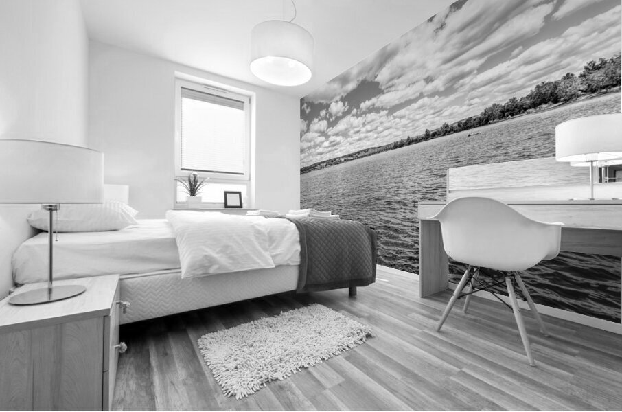 Kimberling City Bridge And Table Rock Lake Grayscale Mural print