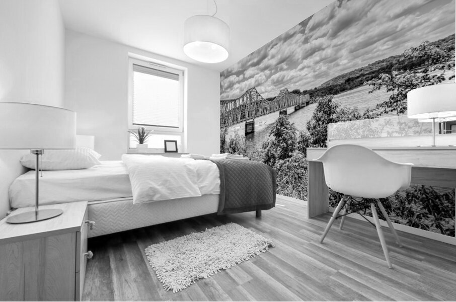 Boats Under Kimberling City Bridge Grayscale Mural print