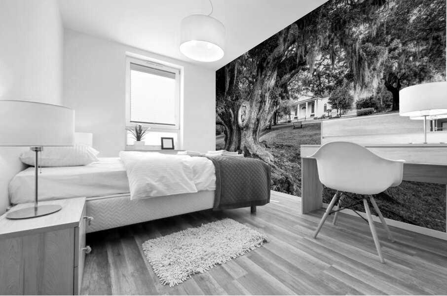 McClellanville Historic Live Oak Tree Mural print