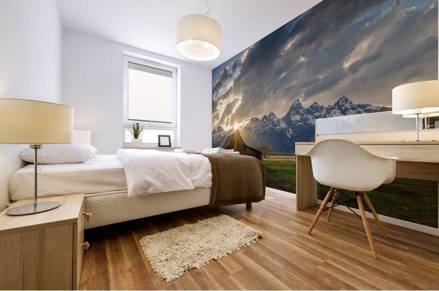 Mormon Row Mural print