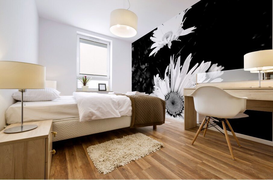 Daisy Flowers in High Contrast Black and White Mural print
