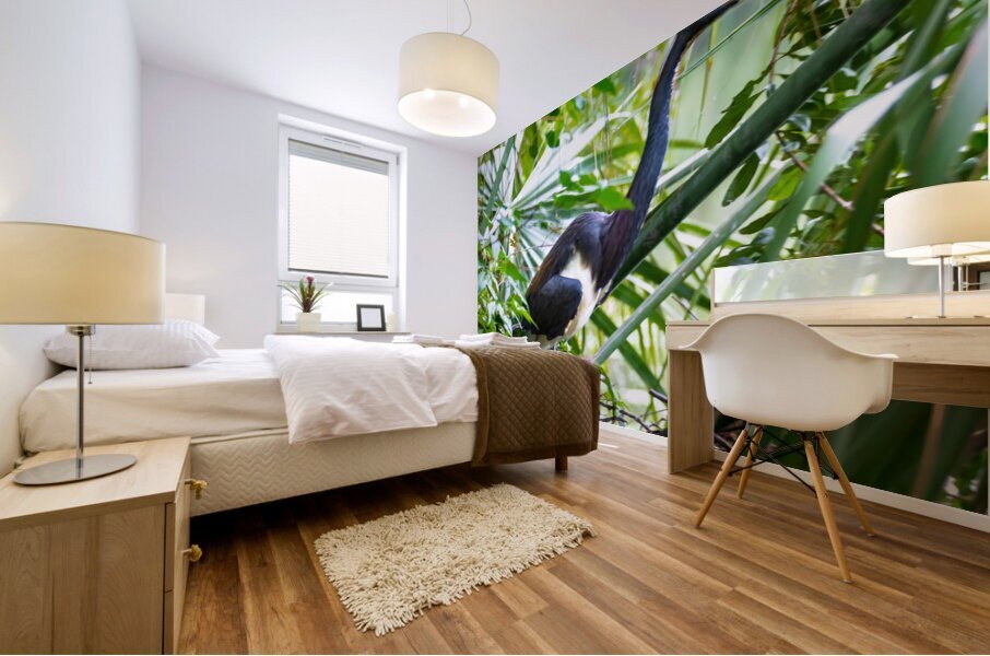 Tri-colored Heron Nesting Mural print