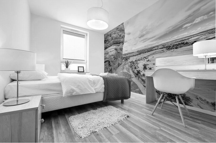 Delicate Arch Narrow Path Grayscale Mural print