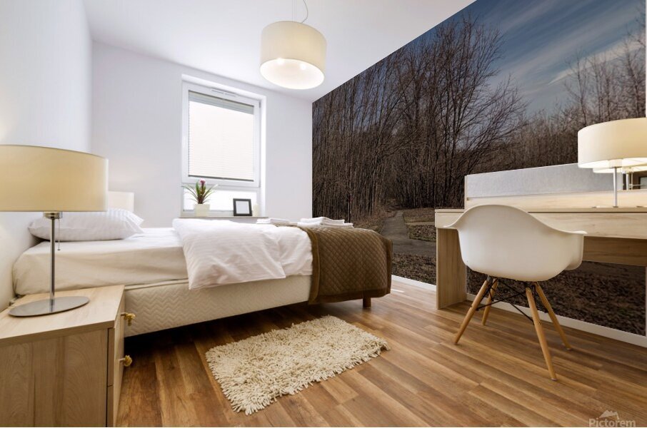 2024 Portfolio 3 Mural print