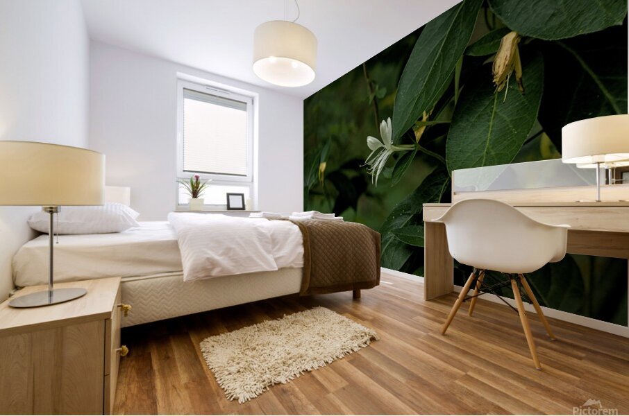 2024 Portfolio 16 Mural print