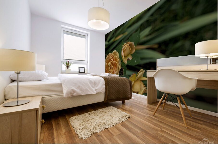 2024 Portfolio 20 Mural print