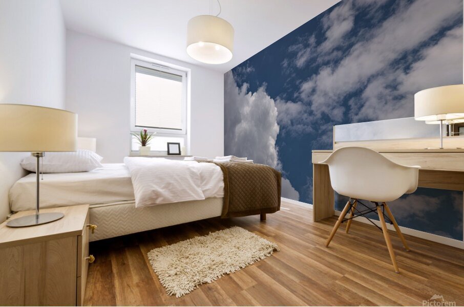 2024 Portfolio 37 Mural print