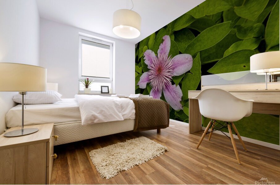 2024 Portfolio 49 Mural print