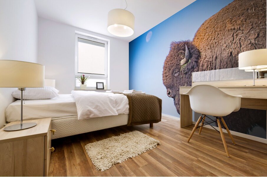 Shoot For The Moon Mural print