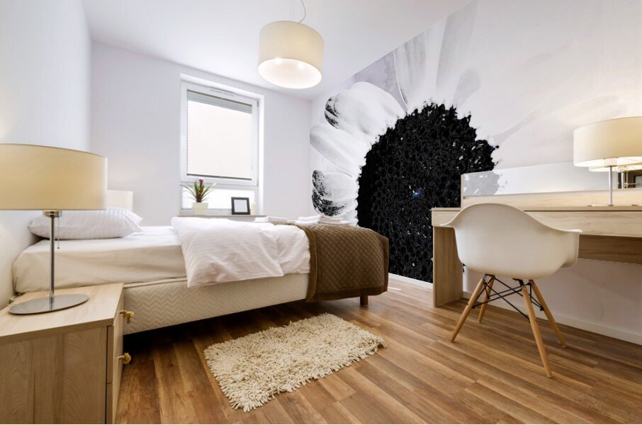 Abstract High Contrast Daisy Flower Mural print