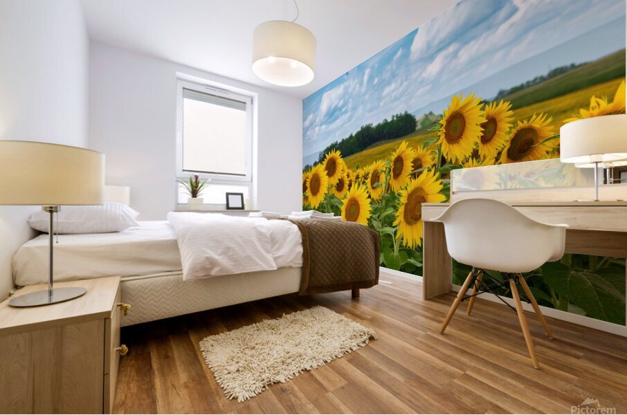 Amazing Sunflowers Mural print