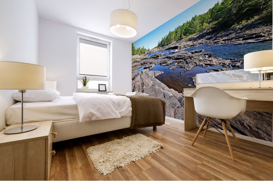 Moon River Falls XII Mural print