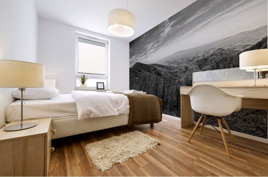 Virginia Mountain Overlook  Mural print