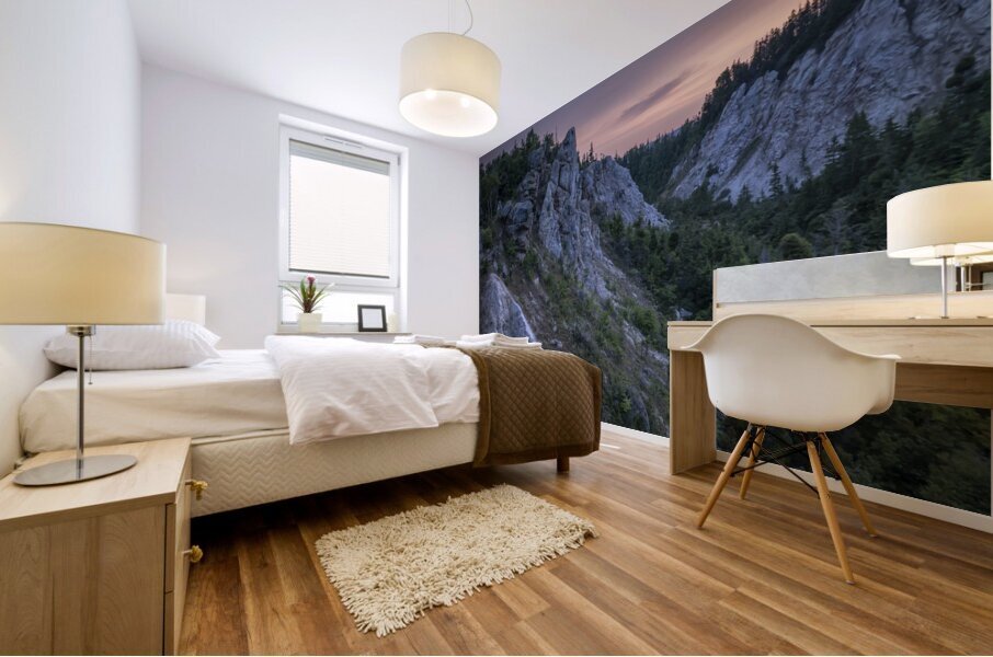 Solitude Mural print