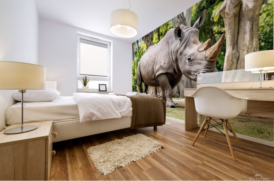 A rhinoceros in what appears to be a zoo or wildl 1722839494.4431 Mural print