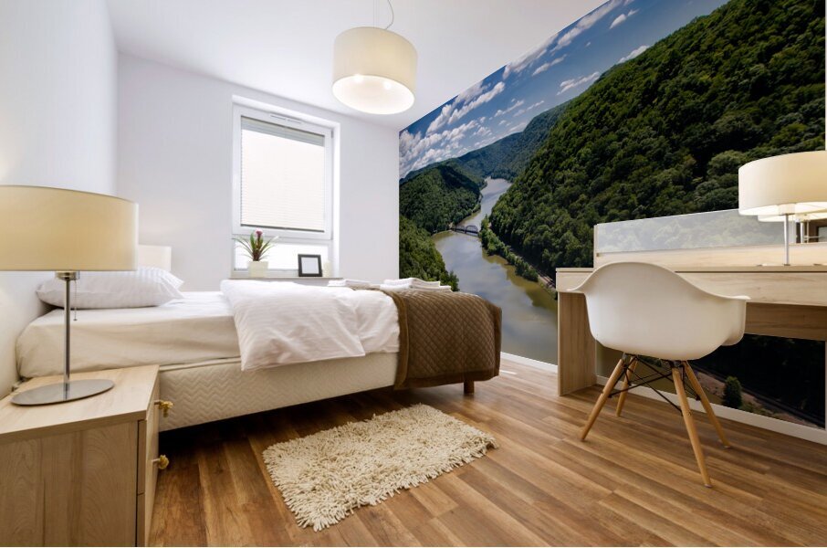 New River Gorge National River Mural print