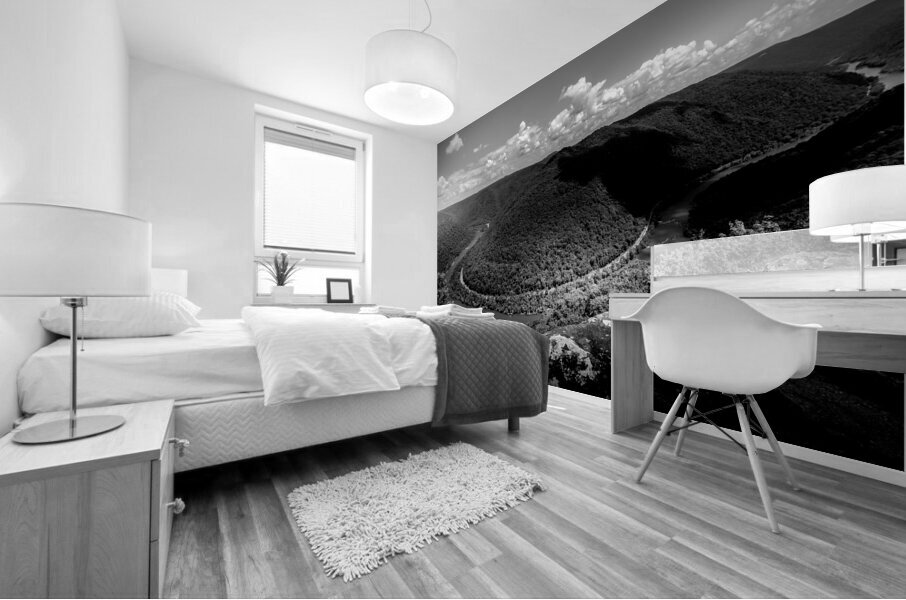 Grandview Overlook in Black and White Mural print
