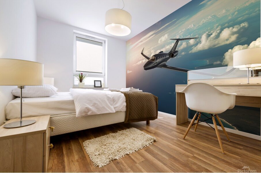 Airplane in sky background Mural print