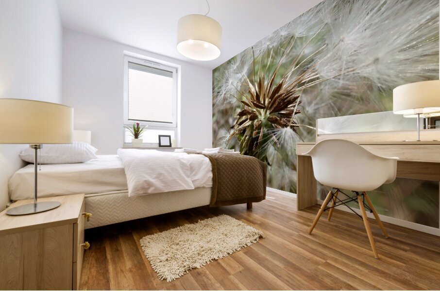 Dandelion Seeds Close Up Impressionistic Design   Mural print