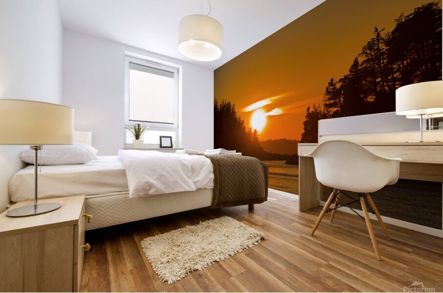 Sunlit Passage Mural print