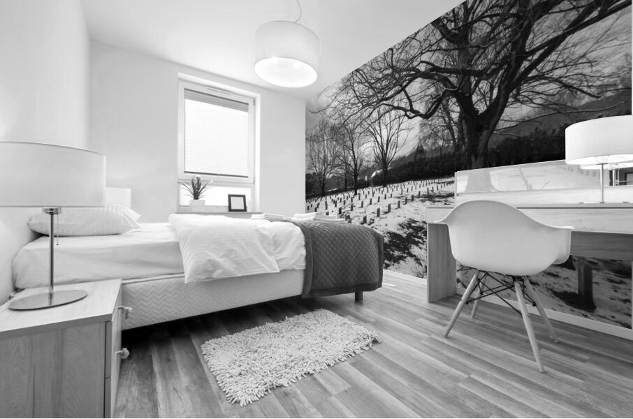 Lynchburg Old City Cemetery in Winter Mural print