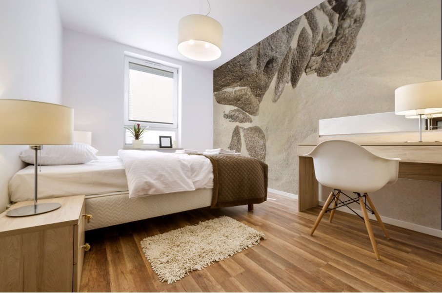 Sand and Rock Mural print