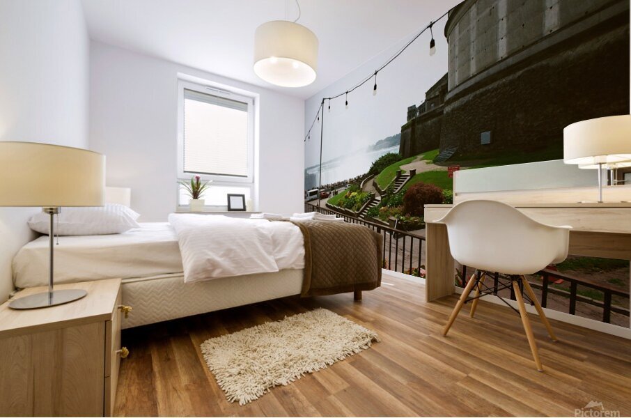 The Falls and Illumination Tower Base Mural print