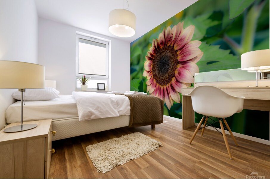 Dreamy ProCut Plum Sunflower Mural print