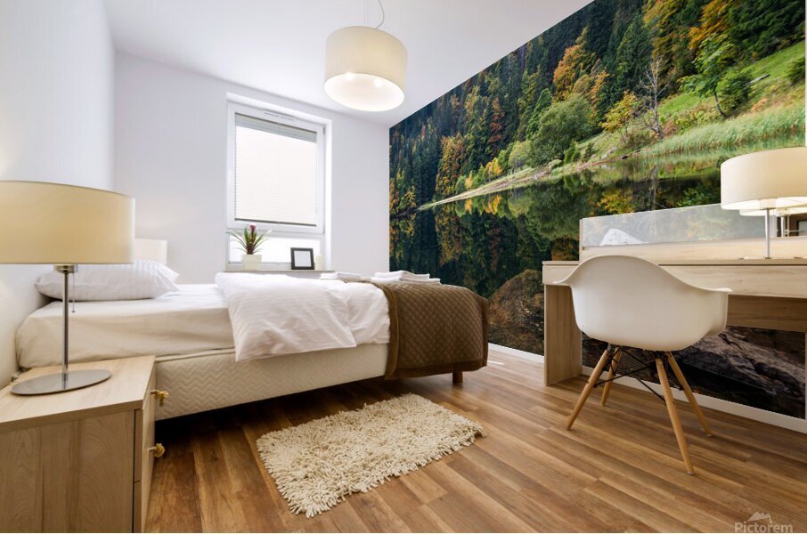 Fall Colors at a Lake in the Black Forest Mural print