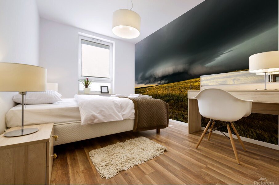 Alberta Structure  Mural print