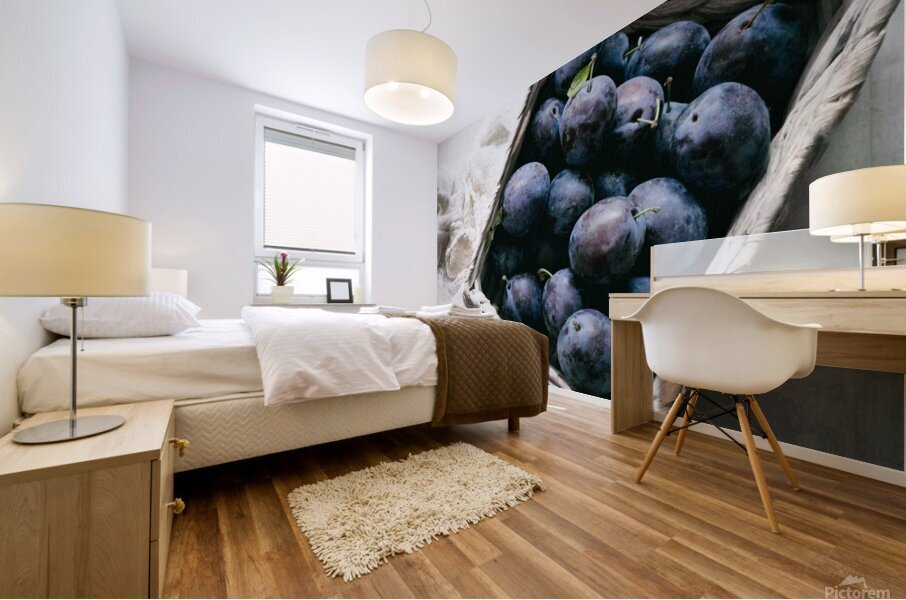 Plum Basket Mural print