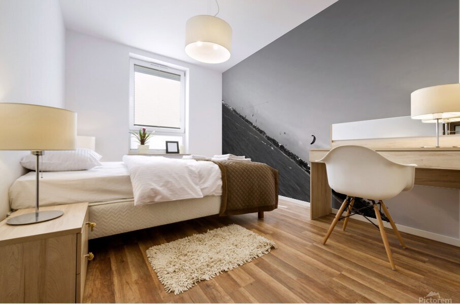 Jenny Cosmic Babarete Bay 02 BW August 2024 Mural print