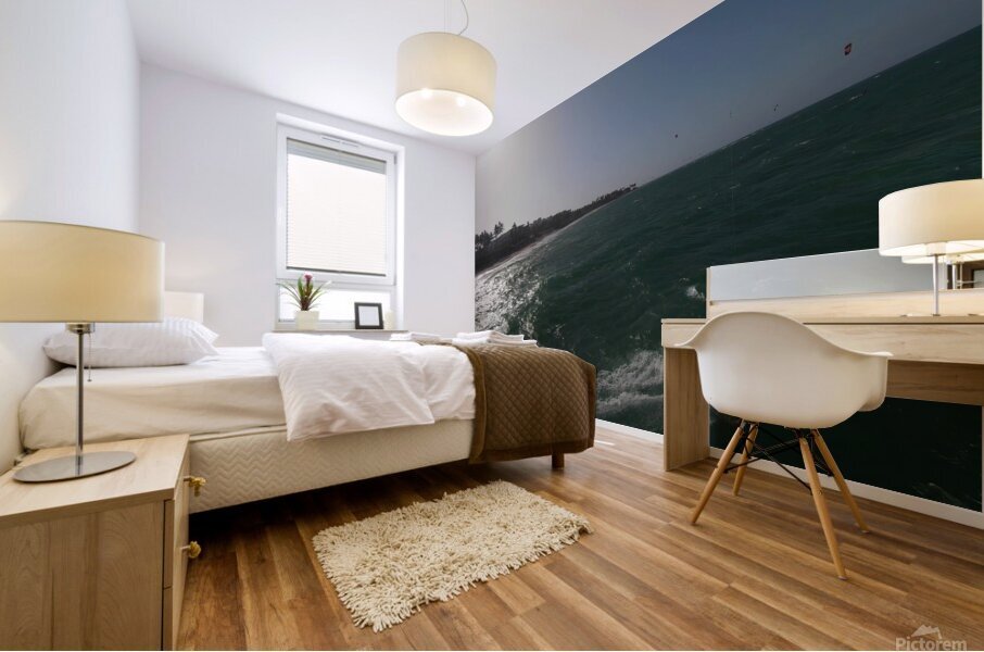 Jenny Cosmic Babarete Bay 56 August 2024 Mural print