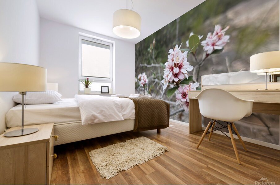 Resilience in Bloom A Pink Flower on Withered Branches Mural print