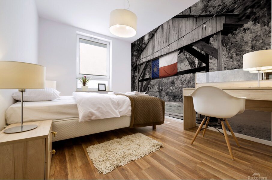 Texas True Mural print