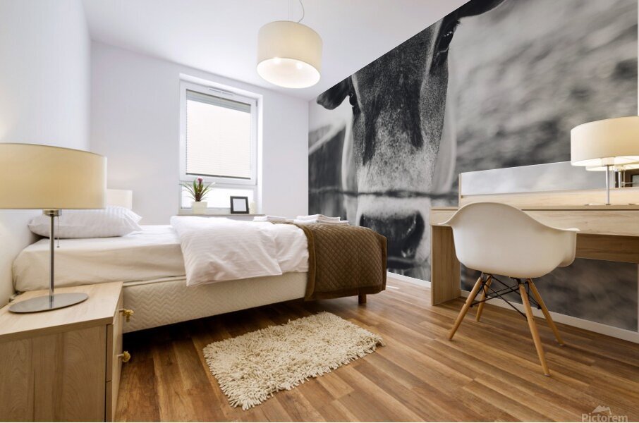 Rustic Elegance Mural print