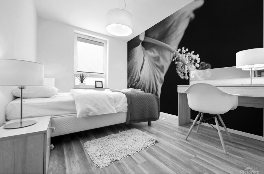 Monochrome Floral Mural print