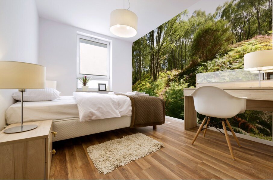 Lush Nature in the Scottish Highlands Mural print