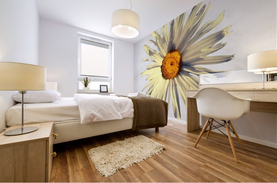 Abstract Calming Daisy Flower Mural print