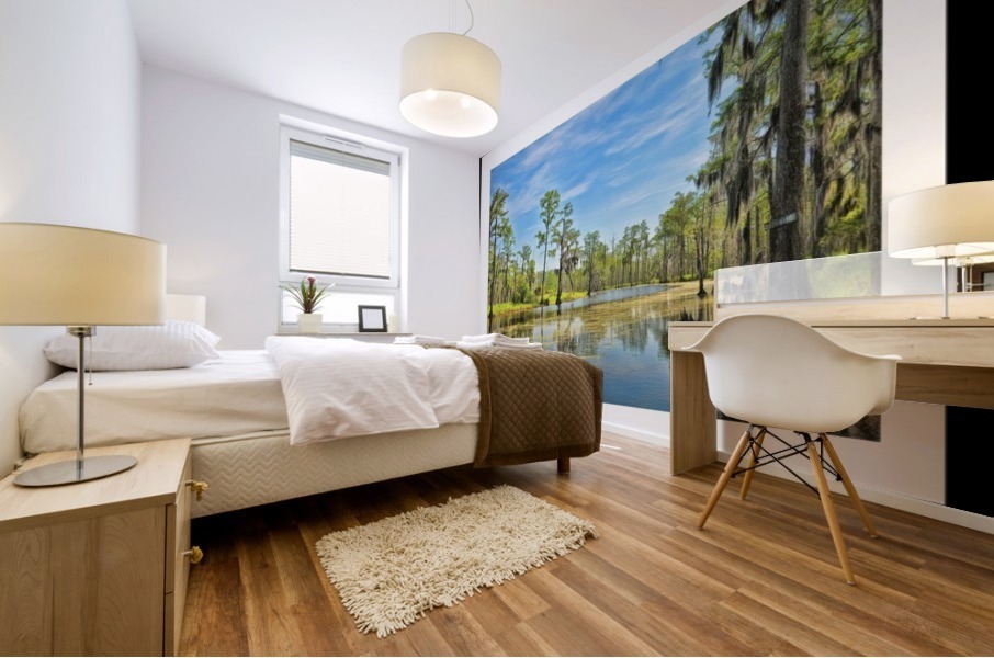 Down on the Bayou - HDR - White Border  - Black Border Mural print