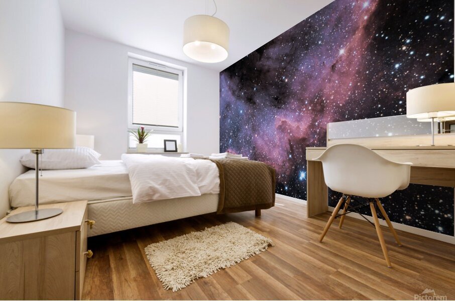 NGC7000 Cygnus Wall Mural print