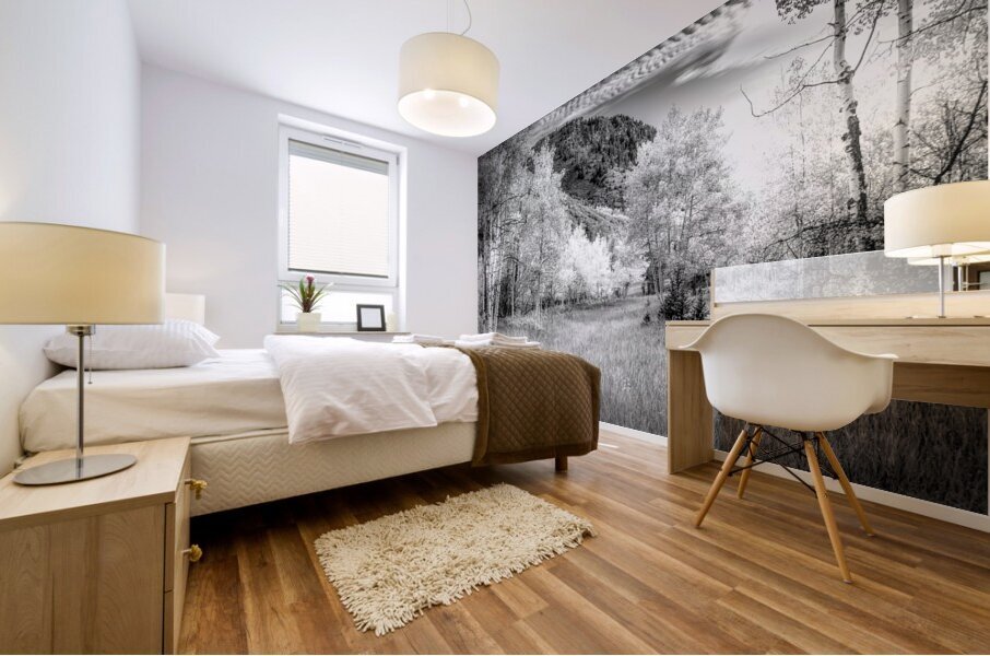 Snowmass Aspen Splendor 1 Mural print