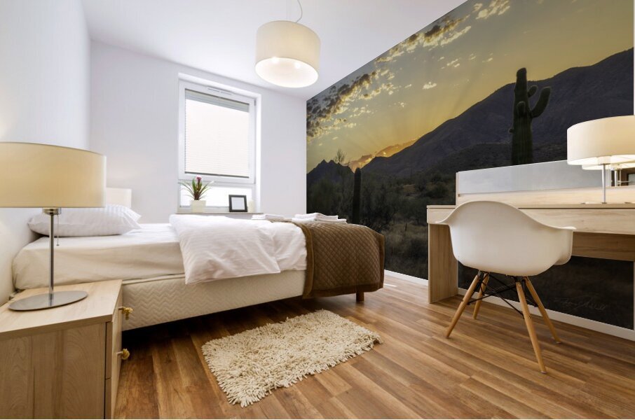 Sonoran Dawn Mural print