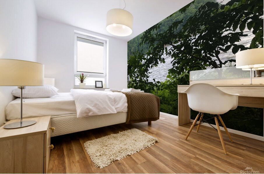 received 1592429961308042 Mural print