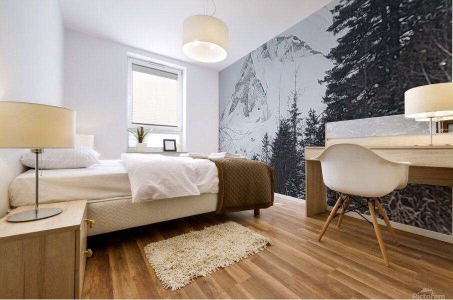 received 953094186849180 Mural print