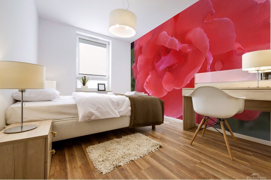received 1596883514545421 Mural print
