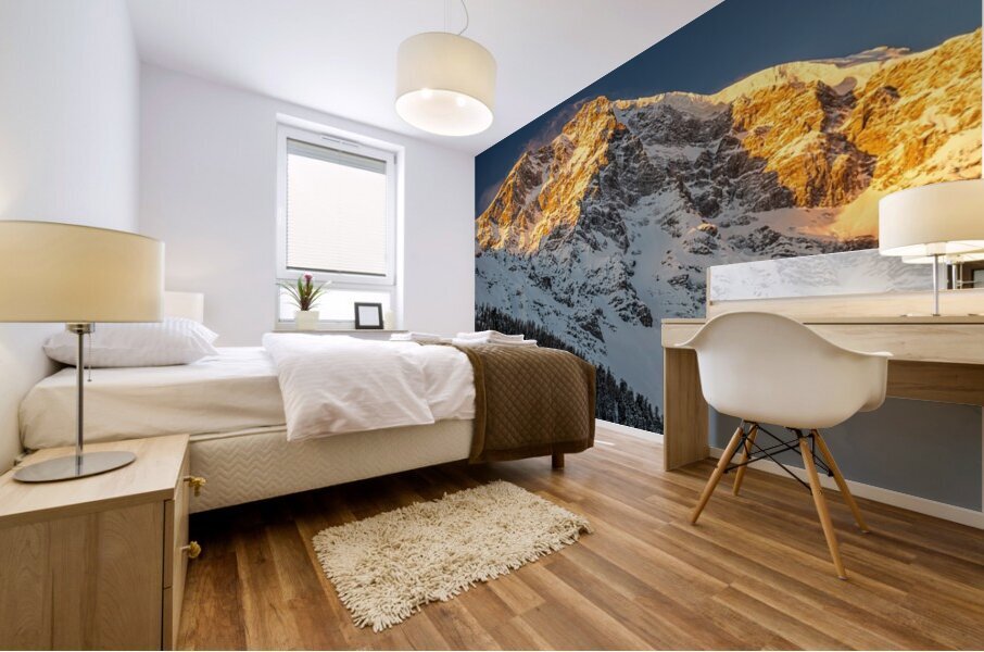 Panorama Shot of the Ortler Mountain in the European Alps at Sunrise Mural print
