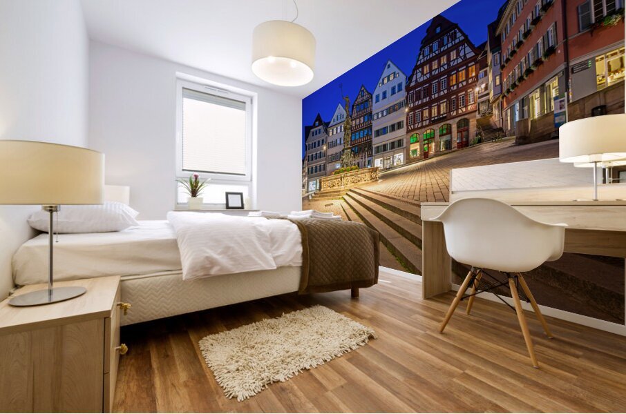 Night shot of traditional houses and fountain in the historic oldtown of Tübingen Germany Mural print