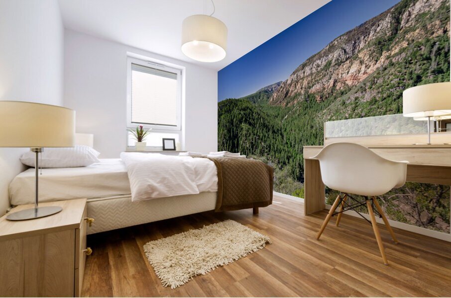 Scenic valley near Flagstaff in the United States Mural print